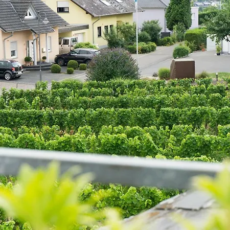 公寓 Moderne 70 Qm Mit Grosser Dachterrasse *