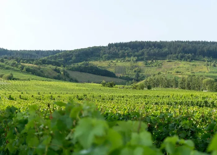 Apartment Moderne 70 Qm Mit Großer Dachterrasse *