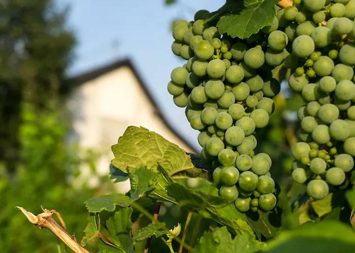 Apartment Moderne 70 Qm Mit Großer Dachterrasse *